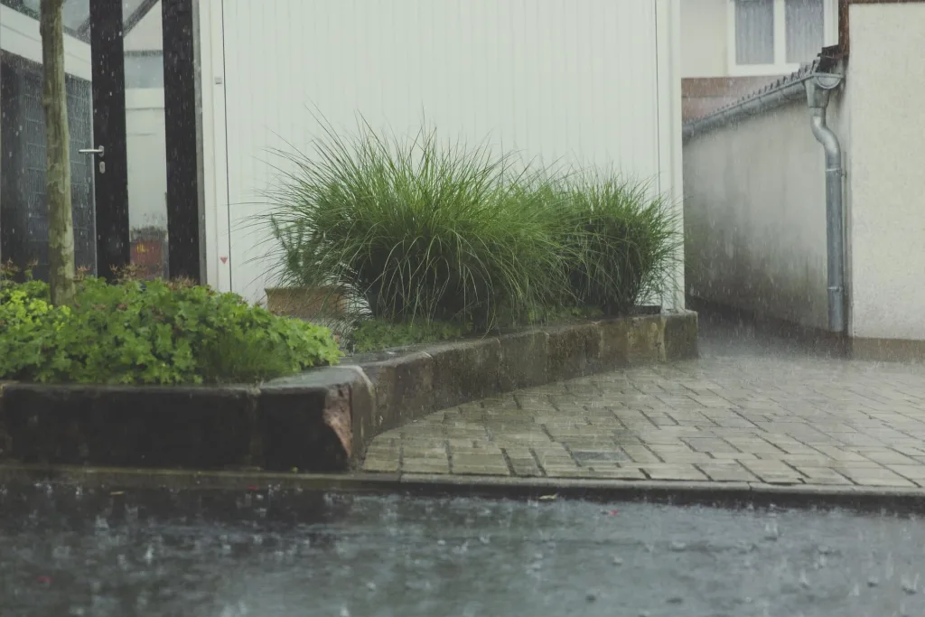 flash flood flash flood