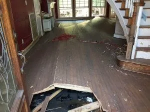 mold after water damage