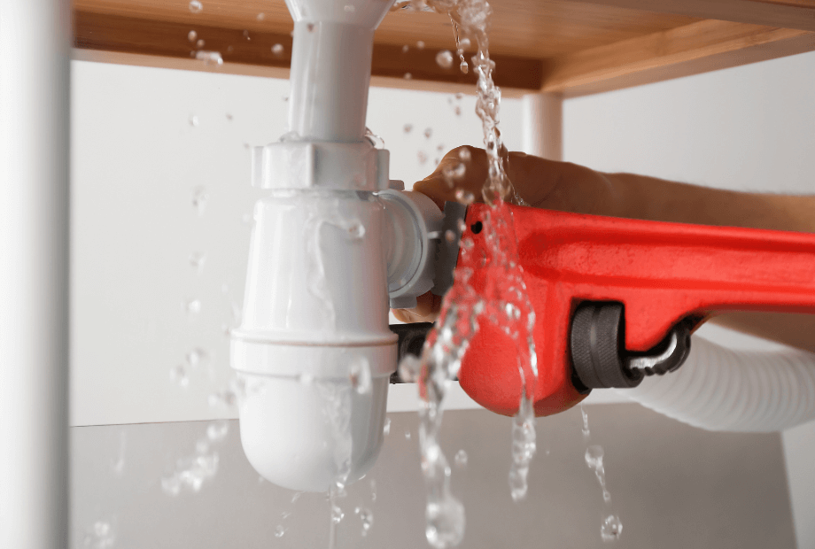 sewage backup in basement floor drain