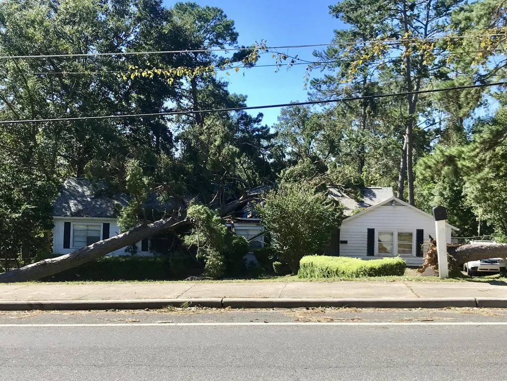 wind damage