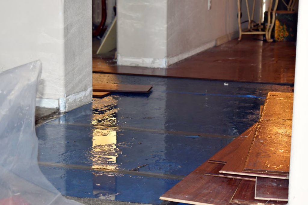 Water Damage in Home