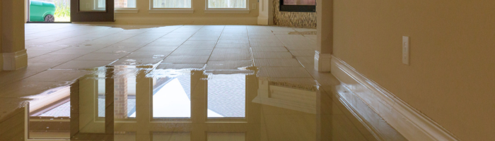 Property Restoration Services by Jenkins Restorations | floor water